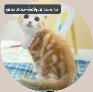 吴涛